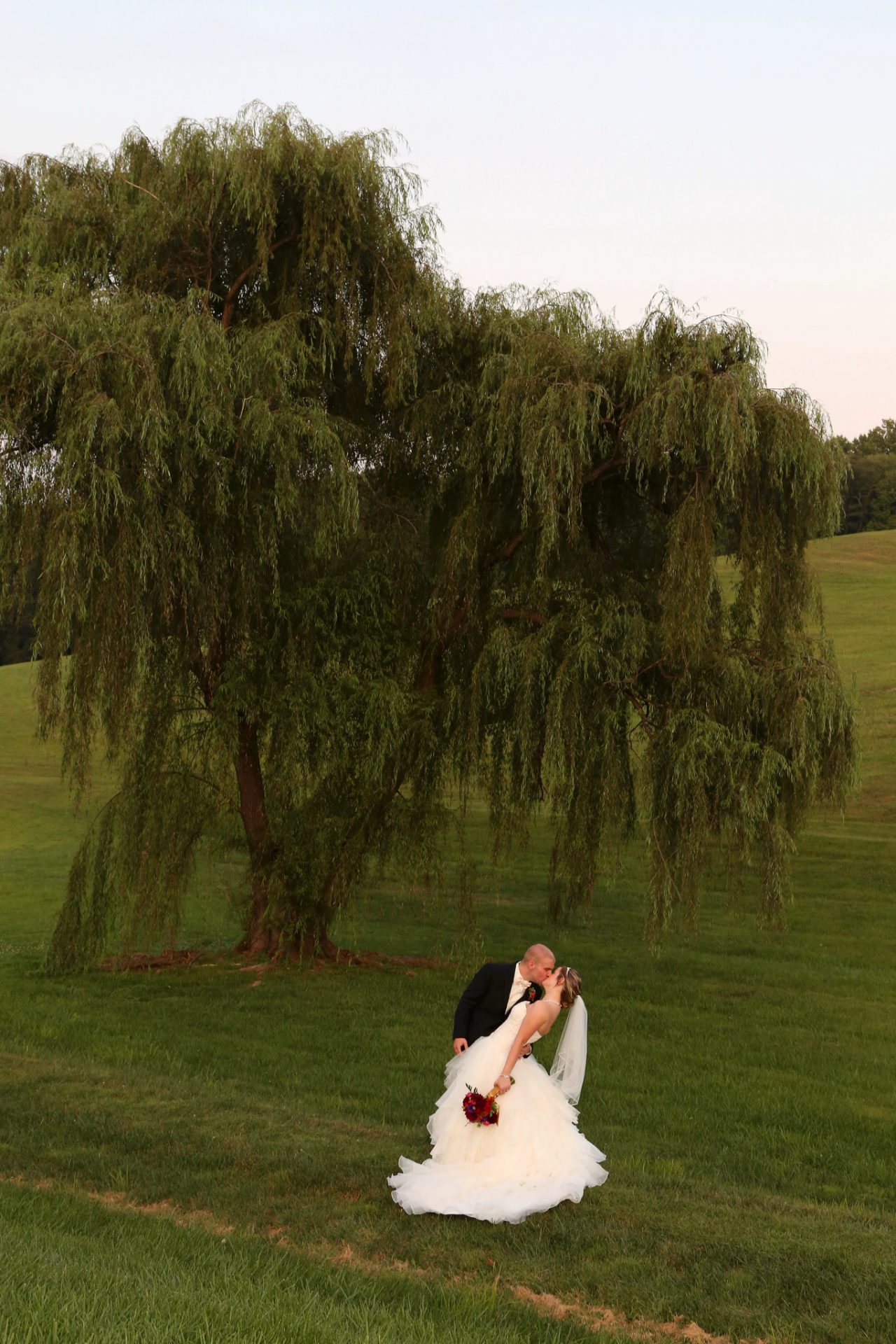 Bride and groom pose beside old willow tree after their wedding