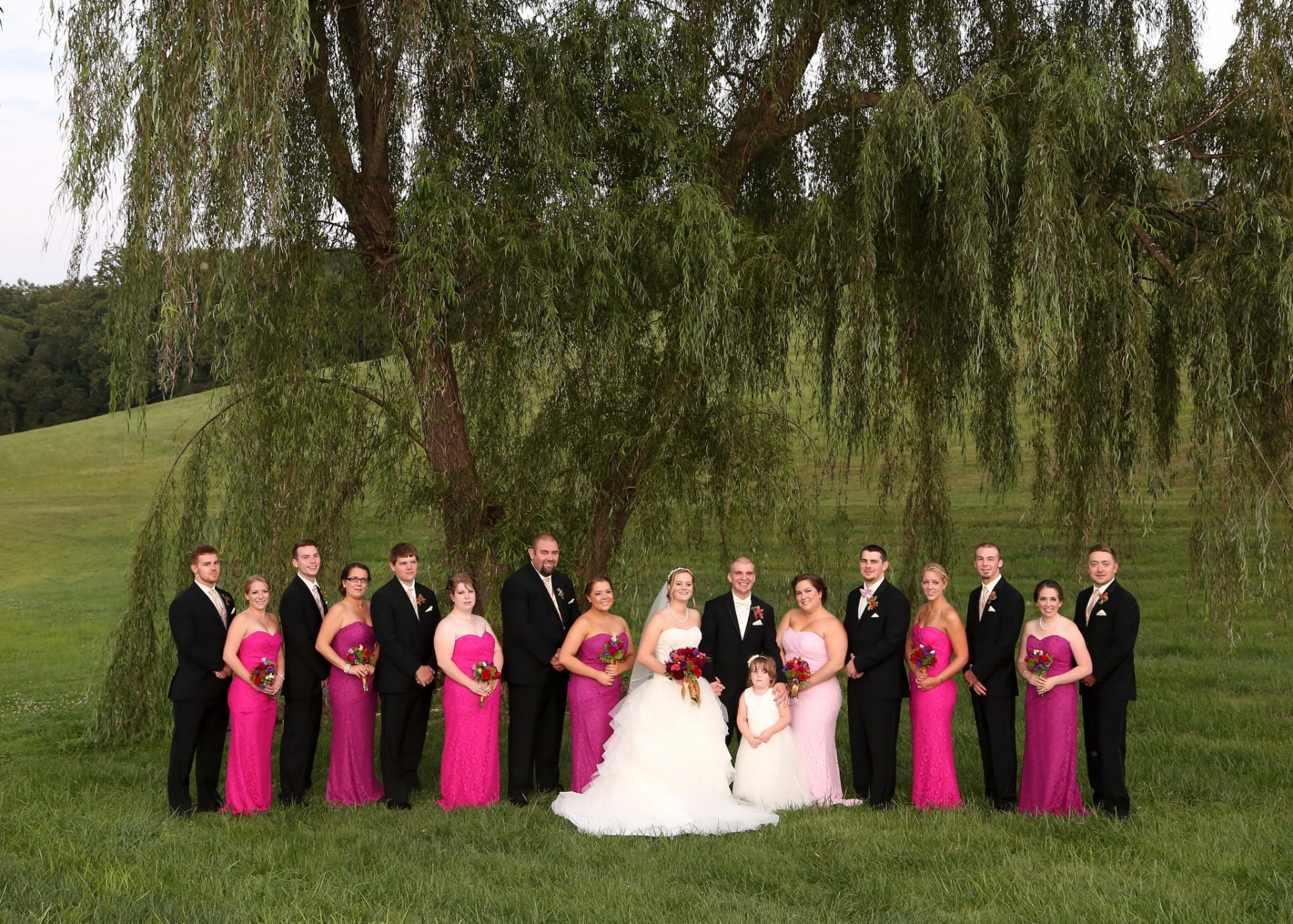Bridal party poses in front of old willow tree at Morningside Inn, wedding venue in maryland