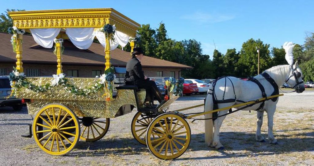 wedding horse carriage rental