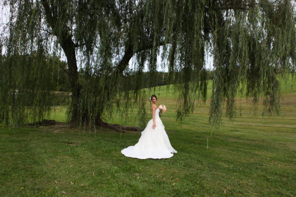 Bride under the willow tree