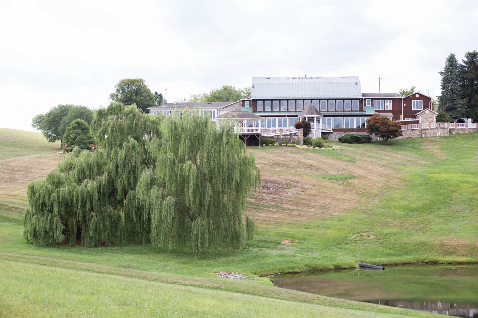 A large weeping willow tree on the bank of a pond with a well-manicured lawn leading up a hill to Morningside Inn with various extensions and a glass façade.